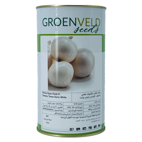 بذور البصل الأمريكي F1