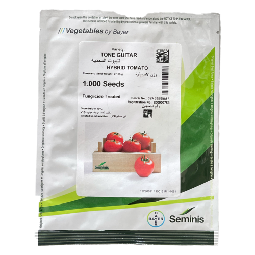 طماطم تون جتار