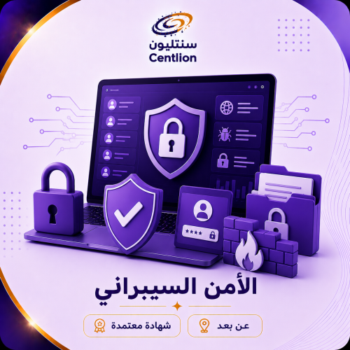 الأمن السيبراني