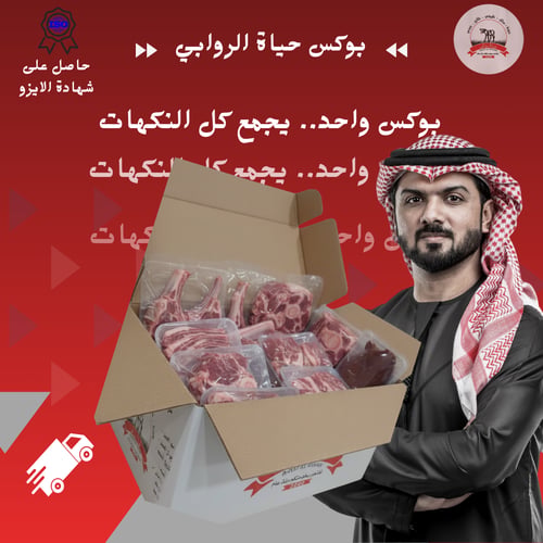 بوكس حياة الروابي