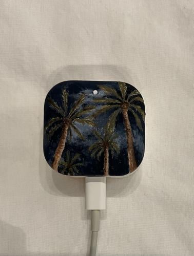 Palm and moon