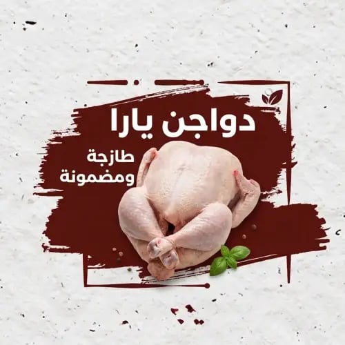 دجاج يارا وزن 1200 جرام