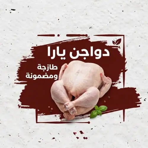 دجاج يارا مشكل 900 جرام