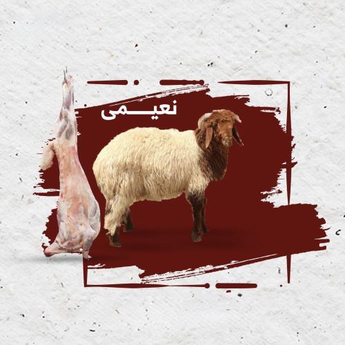 خروف نعيمي بلدي 1 ك