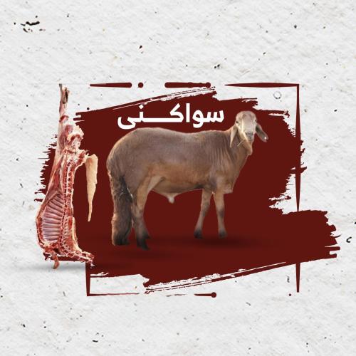 ذبيحة سواكني كبير 21 - 23 ك
