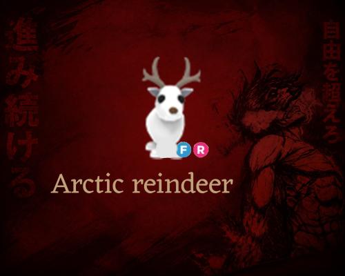 الغزال الأبيض - Arctic Reindeer