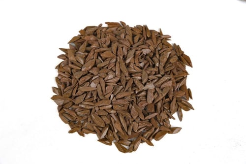 دقة مروكي محسن بيور