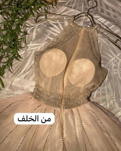 فستان سهرة سكري (عاجي) مطرز بالكريستال وقصة الأمير...