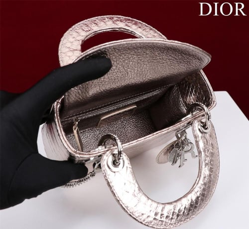 Mini Lady Dior Bag - Python