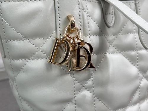 Small Dior Toujours Vertical Tote Bag
