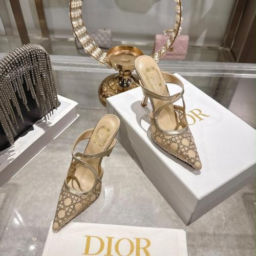 Dior Or Dior Capture Heeled Mule