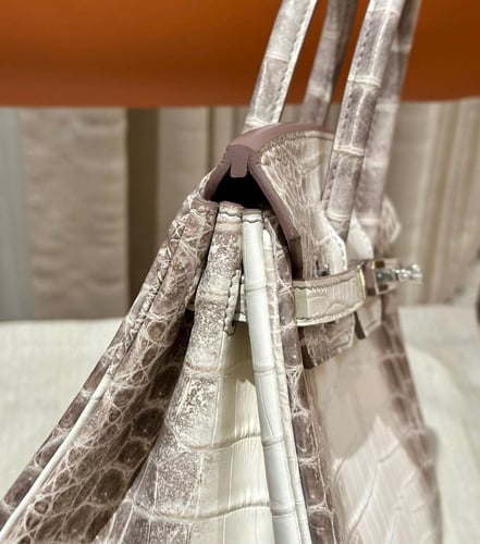 Birkin 25 Himalaya Niloticus Crocodile Diamond Enc...