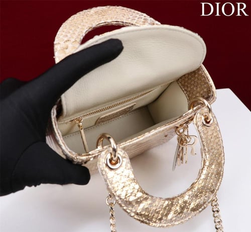 Mini Lady Dior Bag - Python