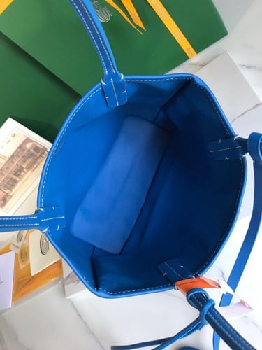 Goyard Anjou Mini Bag