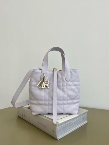 Dior Toujours Vertical Nano Tote Bag