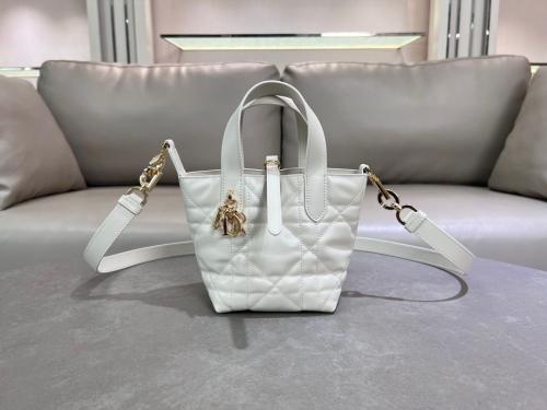 Dior Toujours Vertical Nano Tote Bag