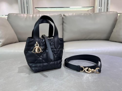 Dior Toujours Vertical Nano Tote Bag