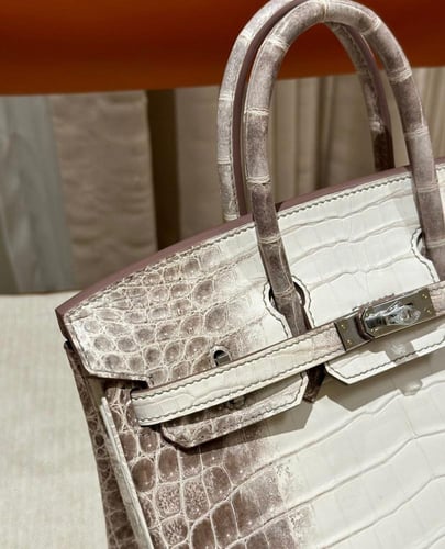 Birkin 25 Himalaya Niloticus Crocodile Diamond Enc...