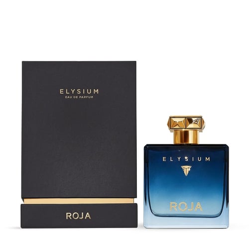 Rochas Elixir Pour Homme men's perfume 100ml