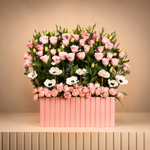 BOX-0027