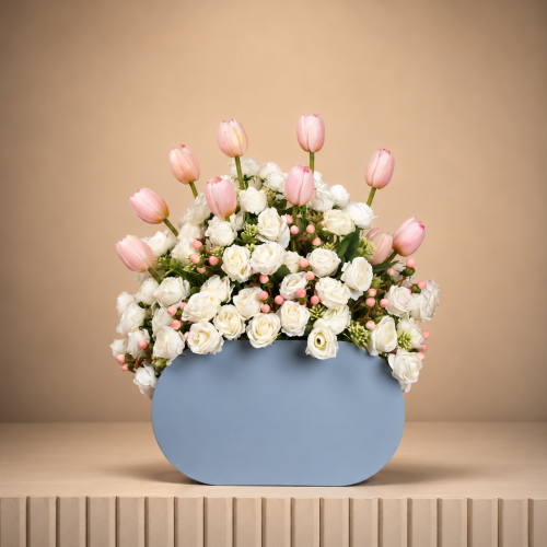 BOX-S0024