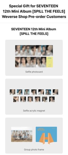 Seventeen spill the feels (random)