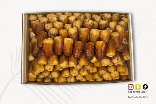 صقعي مطوق ملكي "+6 كيلو"