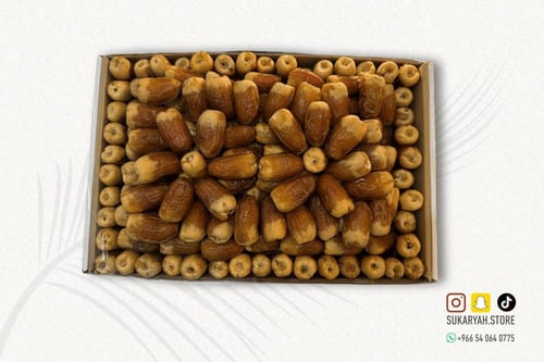 صقعي فاخر مطوق “4كيلو"