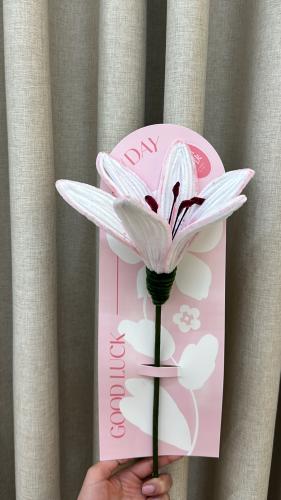 ورد ليليوم 45cm