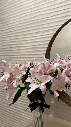 فازه ورد الكازابلانكا