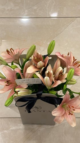 ورود اللليوم