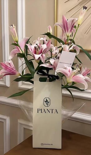 فازه ورد الكازابلانكا كبير ملصق الشمس