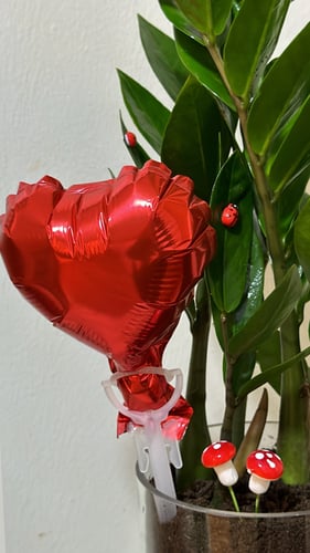 اضافه بالون صغير