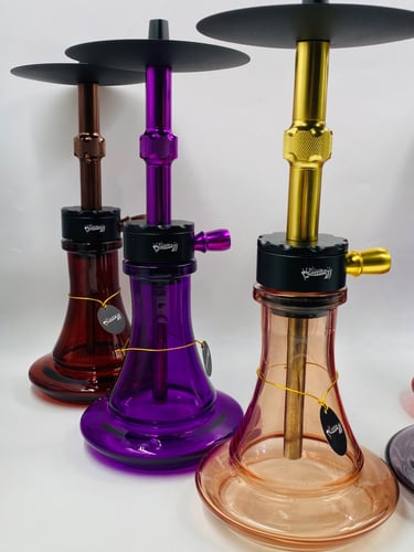 ارقيلة سمر مع شنطه وجميع ملحقاتها مقاس 22