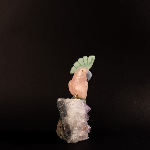 ببغاء روز كوارتز على حجر الاميثيست