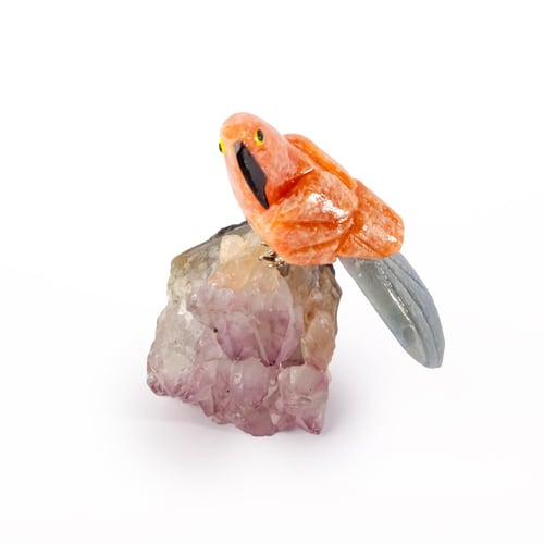 ببغاء اورانج كالسيت على حجر الاميثيست