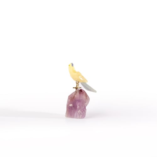 ببغاء يلو كالسايت على حجر الاميثيست