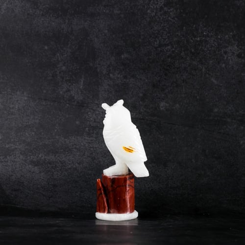 بومة دولومايت