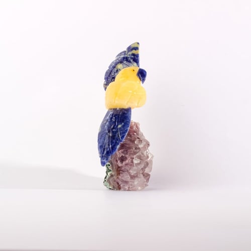 ببغاء يلو كالسايت على حجر الاميثيست
