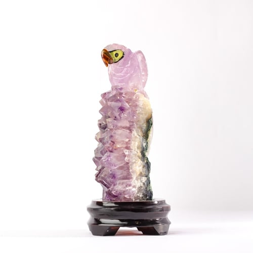 ببغاء اميثيست على حجر الاميثيست