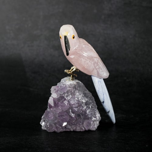ببغاء روز كوارتز على حجر الاميثيست