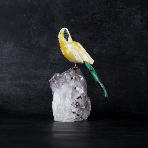 ببغاء يلو كالسايت على حجر الاميثيست