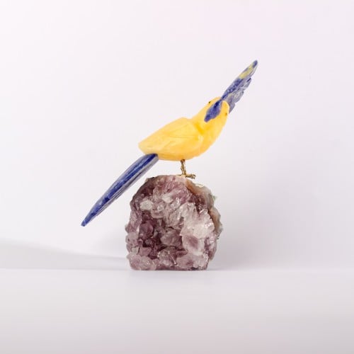 ببغاء يلو كالسايت على حجر الاميثيست