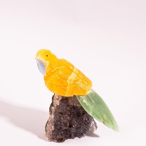 ببغاء يلو كالسايت على حجر الاميثيست