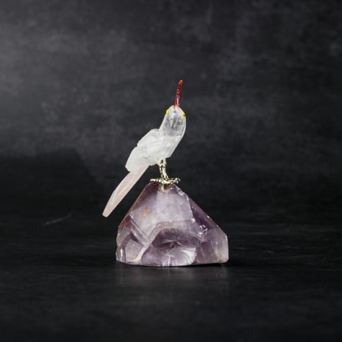 ببغاء كوارتز على حجر الاميثيست