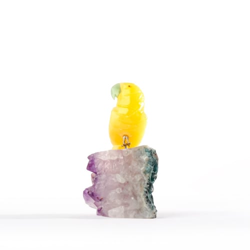 ببغاء يلو كالسايت على حجر الاميثيست