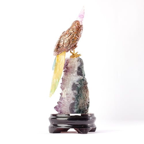 ببغاء اراجونايت على حجر الاميثيست