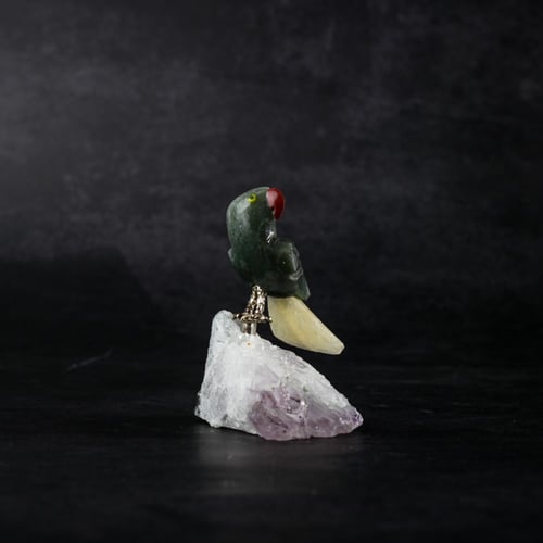 ببغاء جرين افينتورين على حجر الاميثيست