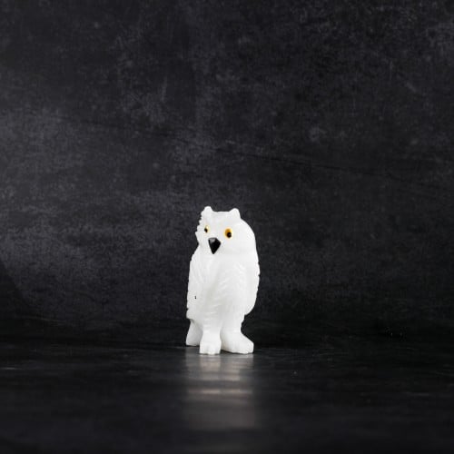 بومة دولومايت