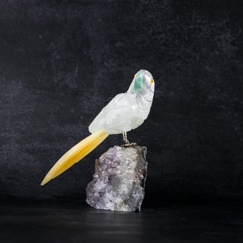 ببغاء كوارتز على حجر الاميثيست